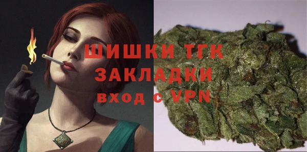 твердый Богородск