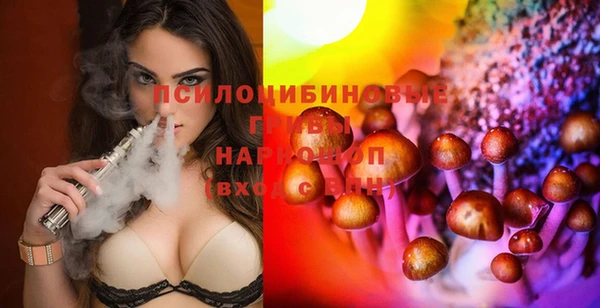 2c-b Богданович